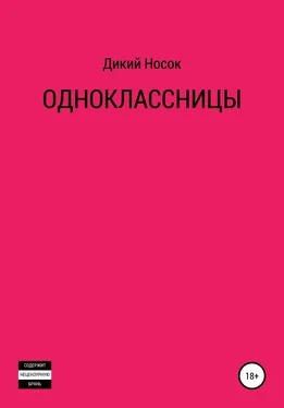Дикий Носок Одноклассницы обложка книги