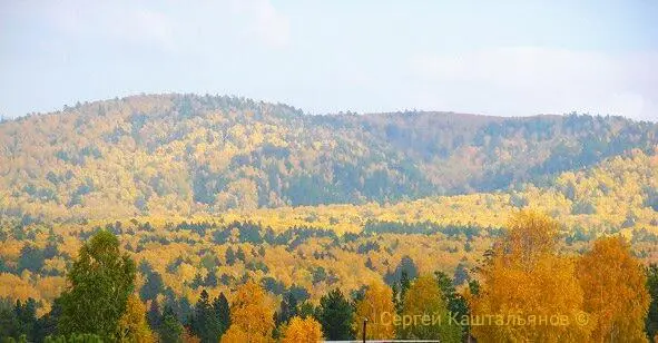 Склоны распадков густо заросшие деревьями и кустарниками чаще крыто уходят - фото 1