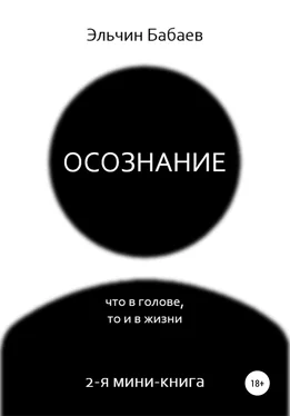 Эльчин Бабаев Осознание обложка книги