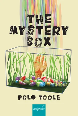 Polo Toole The mystery box обложка книги