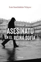 Luis Sanchidrián Velayos - Asesinato en el Reina Sofía
