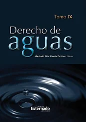 Varios autores - Derecho de Aguas