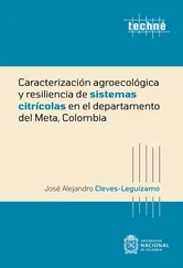 José Alejandro Cleves-Leguízamo - Caracterización agroecológica y resiliencia de sistemas citrícolas en el departamento del Meta, Colombia