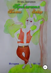 Игорь Дмитриев - Приключения Белого Зайца. Истории 10–14