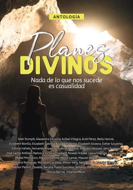 Michelle Gonzalez Antología 10: Planes divinos обложка книги