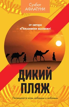 Сухбат Афлатуни Дикий пляж (сборник) обложка книги