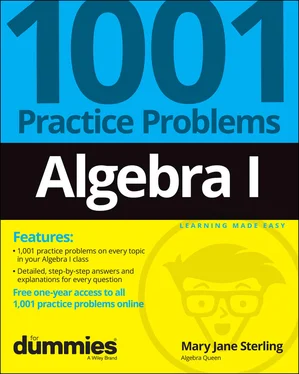 Mary Jane Sterling Algebra I: 1001 Practice Problems For Dummies (+ Free Online Practice) обложка книги