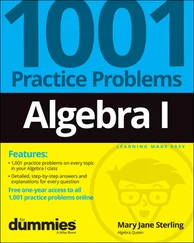 Mary Jane Sterling - Algebra I - 1001 Practice Problems For Dummies (+ Free Online Practice)