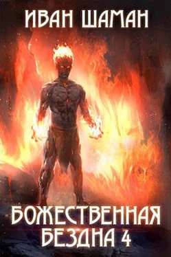 Иван Шаман Божественная бездна 4 обложка книги