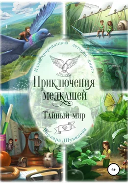 Варвара Шувалова Приключения мелкашей. Тайный мир обложка книги