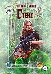 Светлана Тулина - Стенд