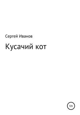 Сергей Иванов Кусачий кот обложка книги