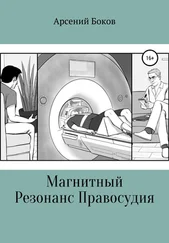 Арсений Боков - Магнитный Резонанс Правосудия