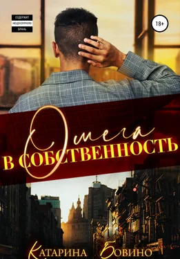 Катарина Бовино Омега в собственность обложка книги