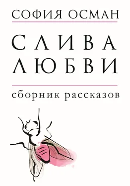 София Осман Слива любви обложка книги
