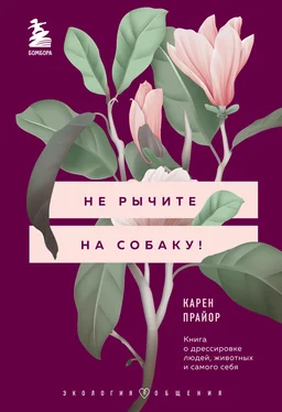 Карен Прайор Не рычите на собаку! Книга о дрессировке людей, животных и самого себя обложка книги