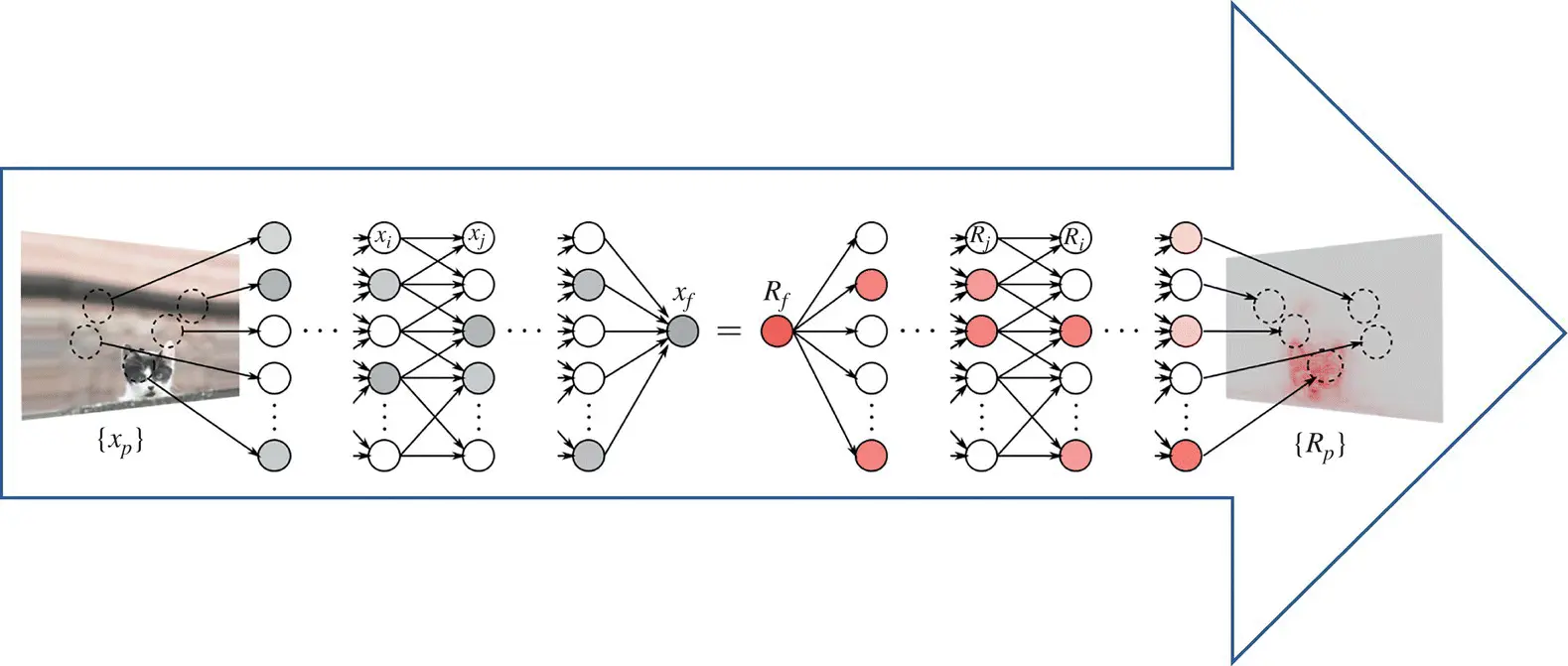 Figure 43 Relevance propagation heat map relevance is presented by the - фото 424