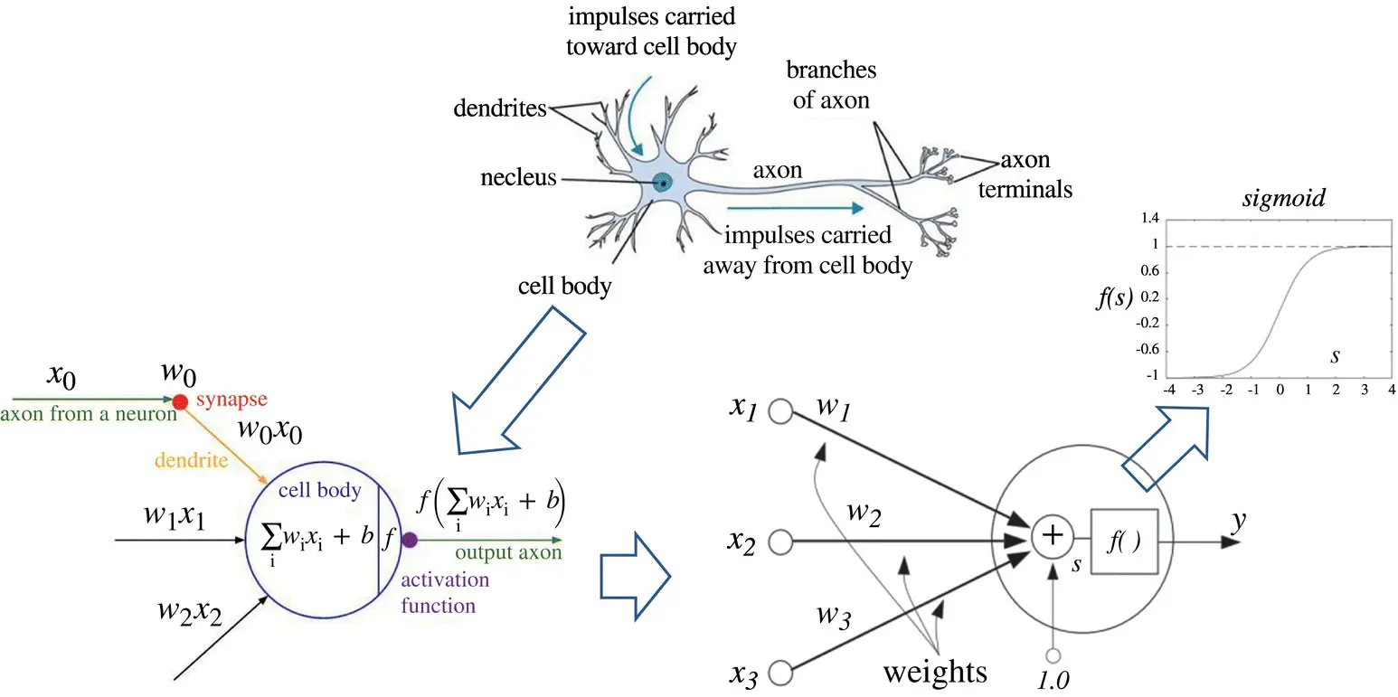 Figure 31 From biological to mathematical simplified model of a neuron - фото 123