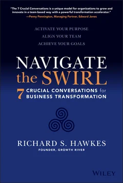 Richard Hawkes Navigate the Swirl обложка книги