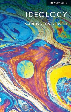 Marius S. Ostrowski Ideology обложка книги