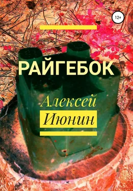 Алексей Июнин Райгебок обложка книги