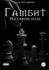 Leo Vollmond - Гамбит. На сером поле