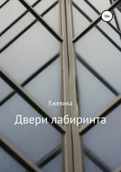 Ежевика - Двери лабиринта