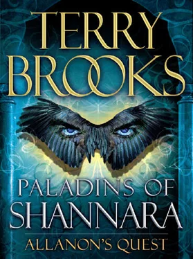 Terry Brooks Paladins of Shannara: The Black Irix (Short Story) обложка книги