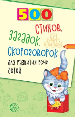 Светлана Сон 500 стихов, загадок, скороговорок для развития речи детей обложка книги