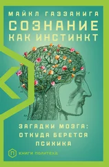 Майкл Газзанига - Сознание как инстинкт. Загадки мозга - откуда берется психика