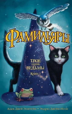 Адам Эпштейн Трое против ведьмы обложка книги