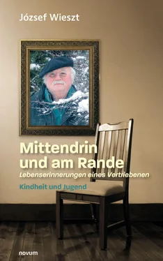 József Wieszt Mittendrin und am Rande – Lebenserinnerungen eines Vertriebenen обложка книги