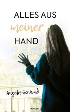 Angela Schwab Alles aus meiner Hand обложка книги