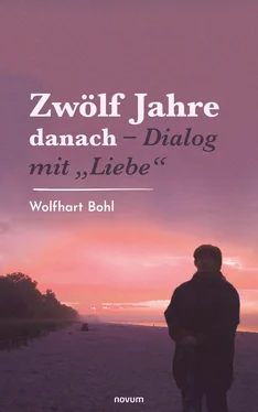 Wolfhart Bohl Zwölf Jahre danach – Dialog mit Liebe обложка книги