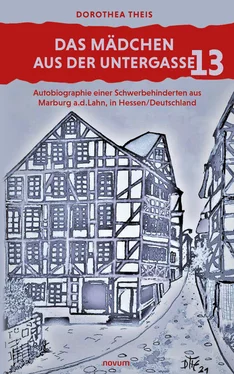 Dorothea Theis Das Mädchen aus der Untergasse 13 обложка книги