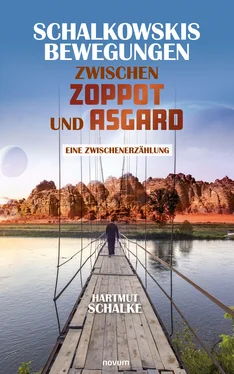 Hartmut Schalke Schalkowskis Bewegungen zwischen Zoppot und Asgard обложка книги