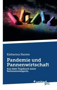 Katharina Hasten Pandemie und Pannenwirtschaft обложка книги