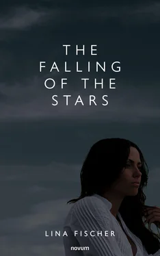 Lina Fischer The Falling of the Stars обложка книги