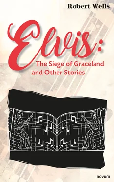 Robert Wells Elvis: The Siege of Graceland and Other Stories обложка книги