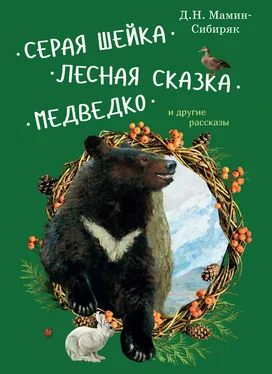 Дмитрий Мамин-Сибиряк Серая Шейка. Лесная сказка. Медведко и другие рассказы для детей обложка книги