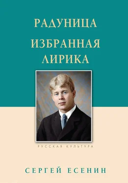 Сергей Есенин Радуница. Избранная лирика обложка книги