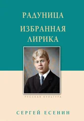 Сергей Есенин - Радуница. Избранная лирика