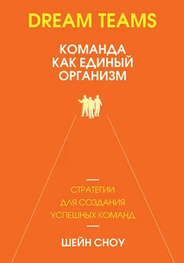 Шейн Сноу Dream Teams: команда как единый организм обложка книги