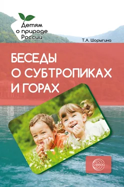 Татьяна Шорыгина Беседы о субтропиках и горах. Методические рекомендации обложка книги