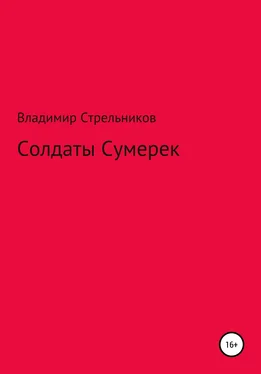 Владимир Стрельников Солдаты Сумерек обложка книги