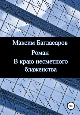 Максим Багдасаров В краю несметного блаженства обложка книги