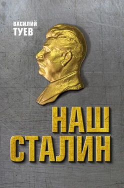 Василий Туев Наш Сталин: духовный феномен великой эпохи