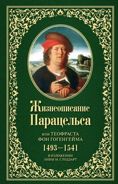 Анна М. Стоддарт Жизнеописание Парацельса или Теофраста фон Гогенгейма (1493–1541) обложка книги