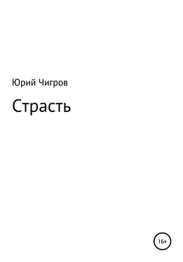 Юрий Чигров Страсть обложка книги