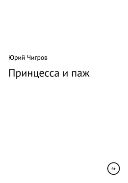 Юрий Чигров Принцесса и паж обложка книги